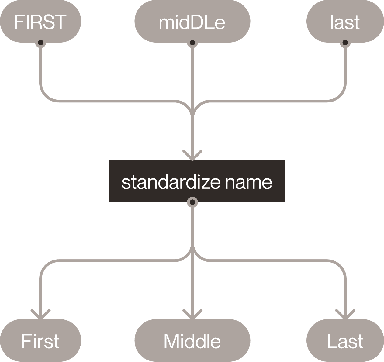 Diagram showing a name standardization function with multiple inputs and outputs